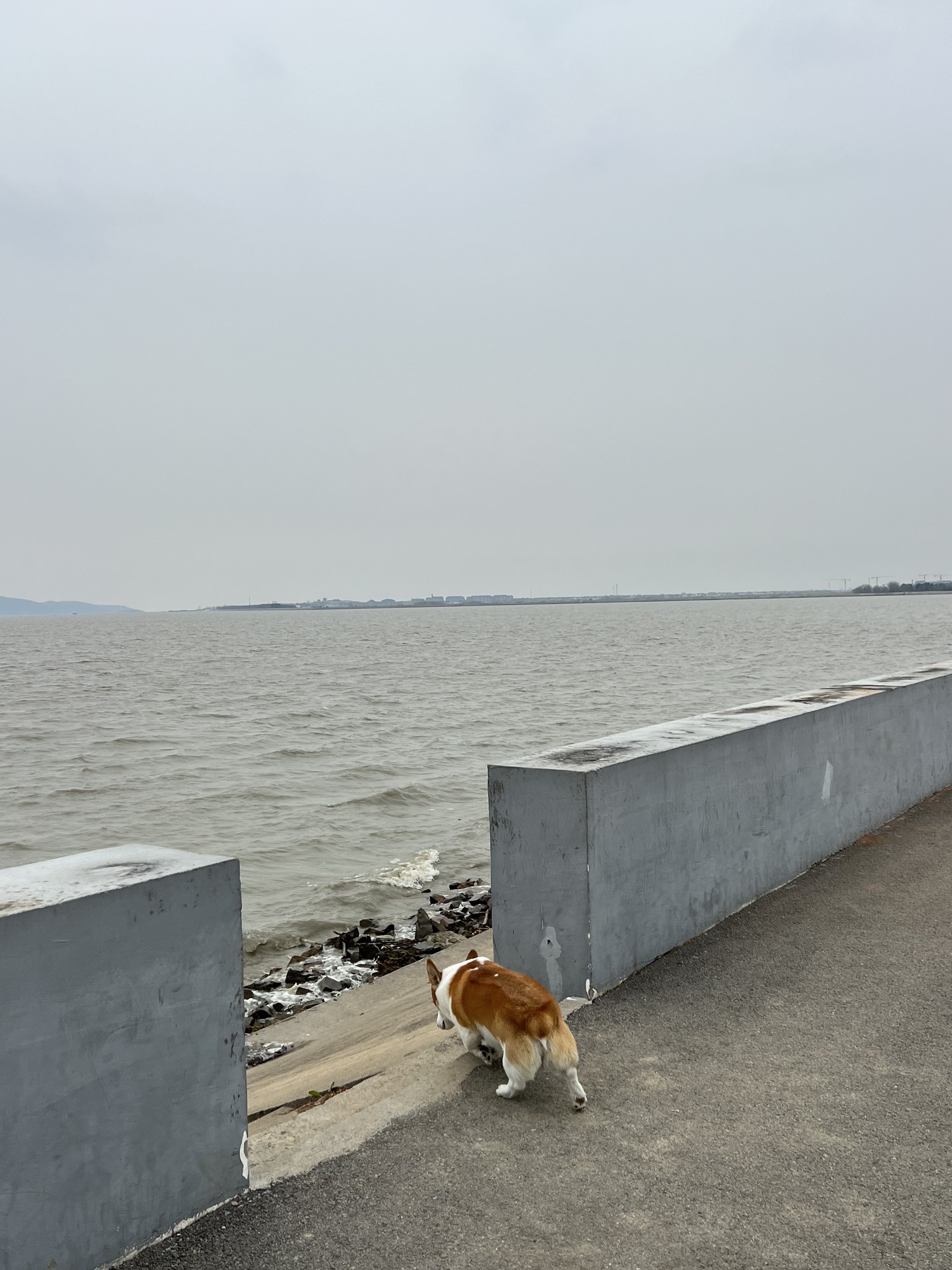 竺山湖湿地旅行图片 3