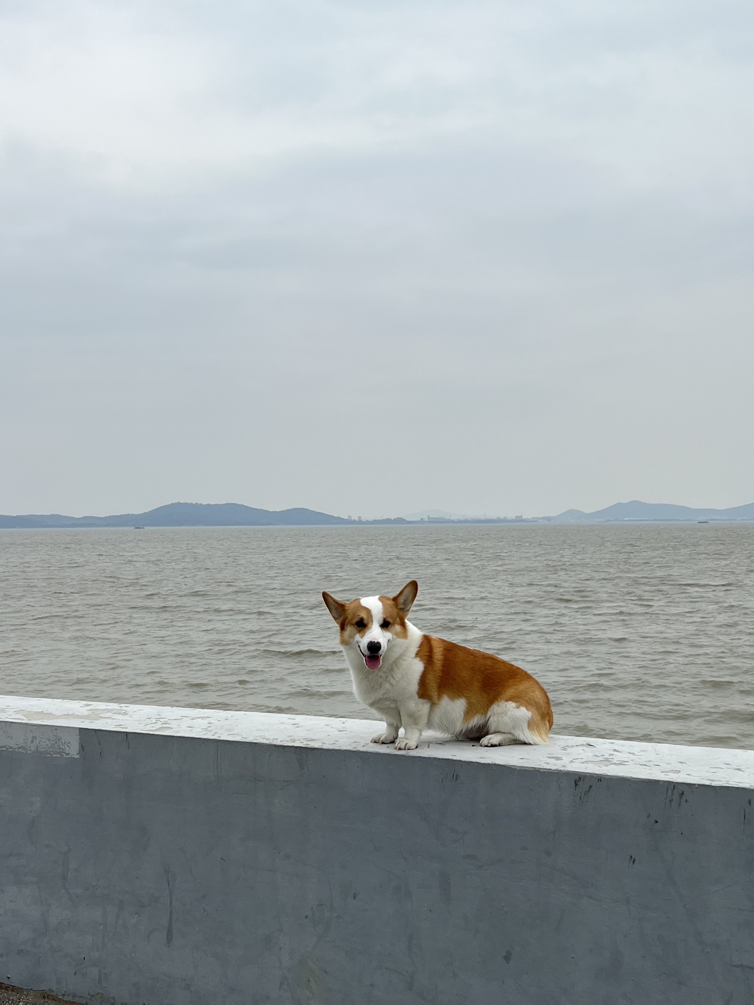 竺山湖湿地旅行图片 1