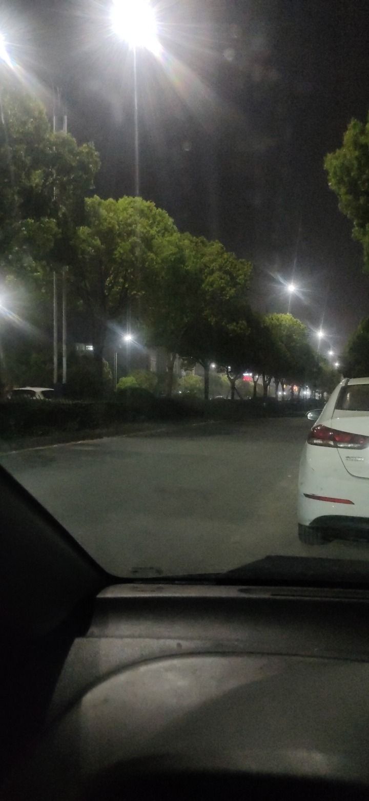 龙溪公园旅行图片 1
