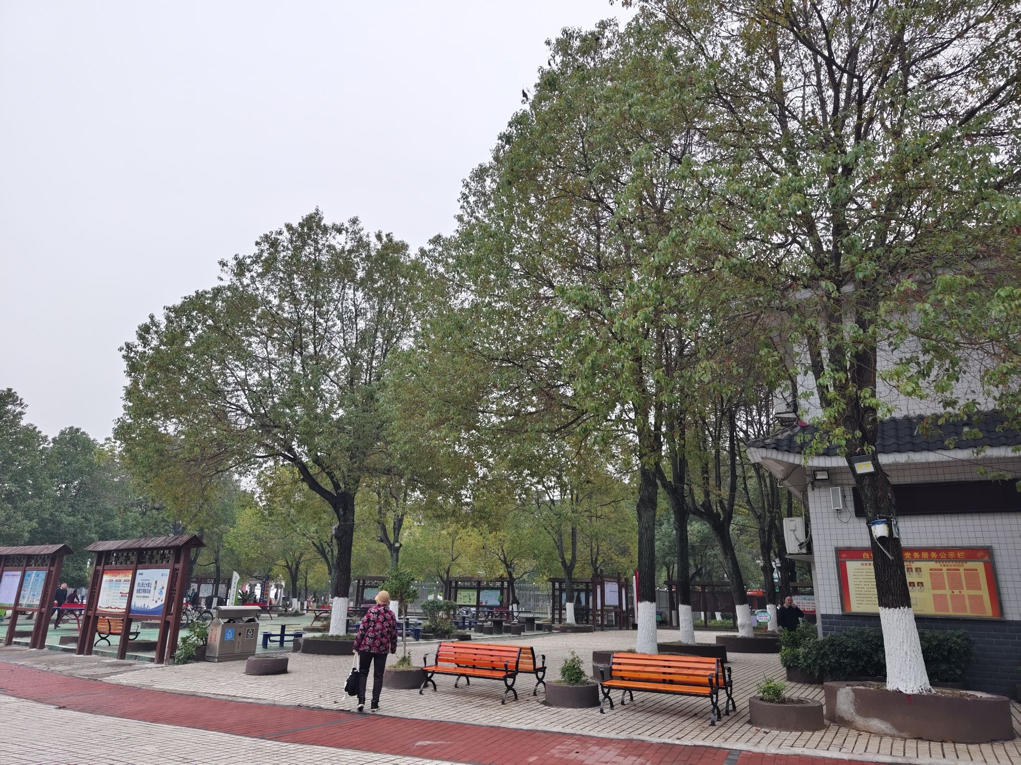 祁阳市白竹湖广场旅行图片 2