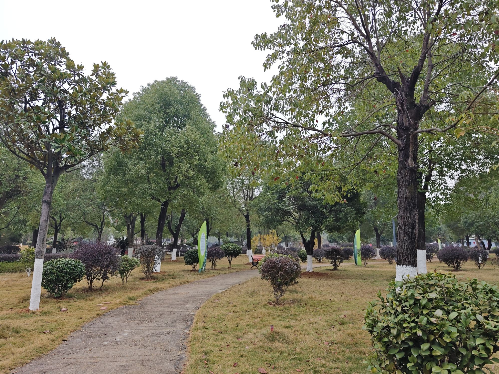 祁阳市白竹湖广场旅行图片 3