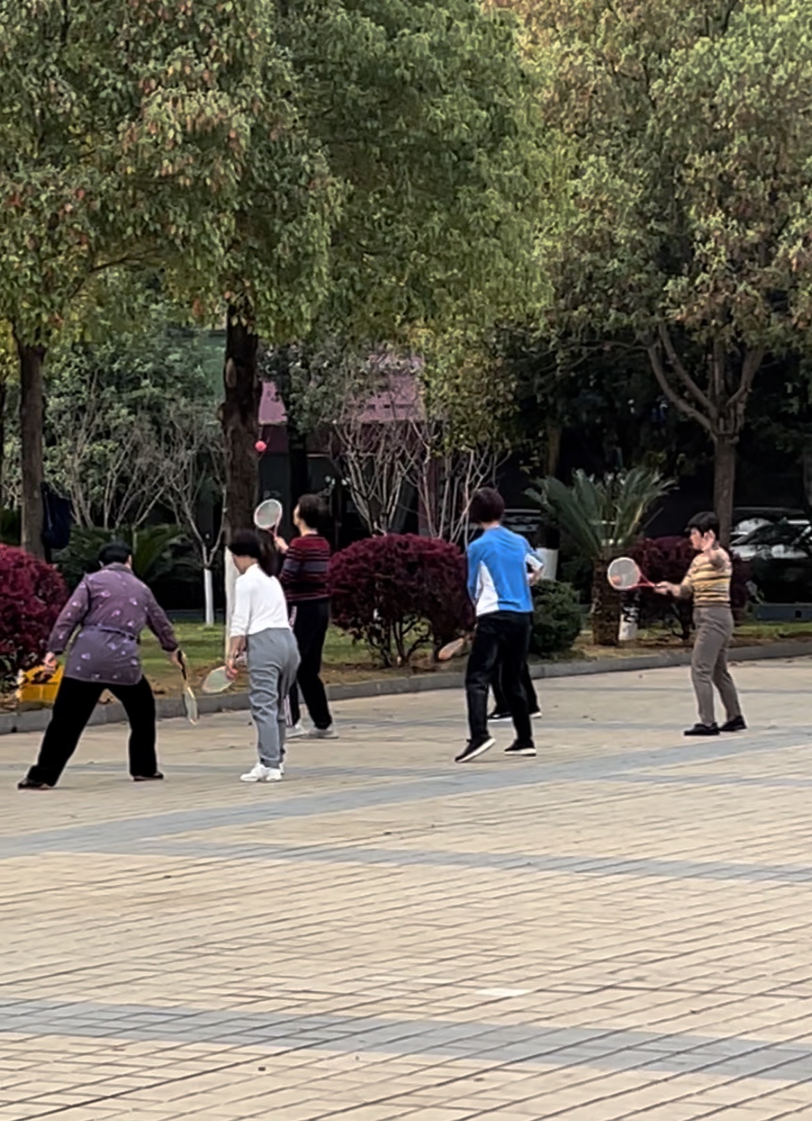 祁阳市白竹湖广场旅行图片