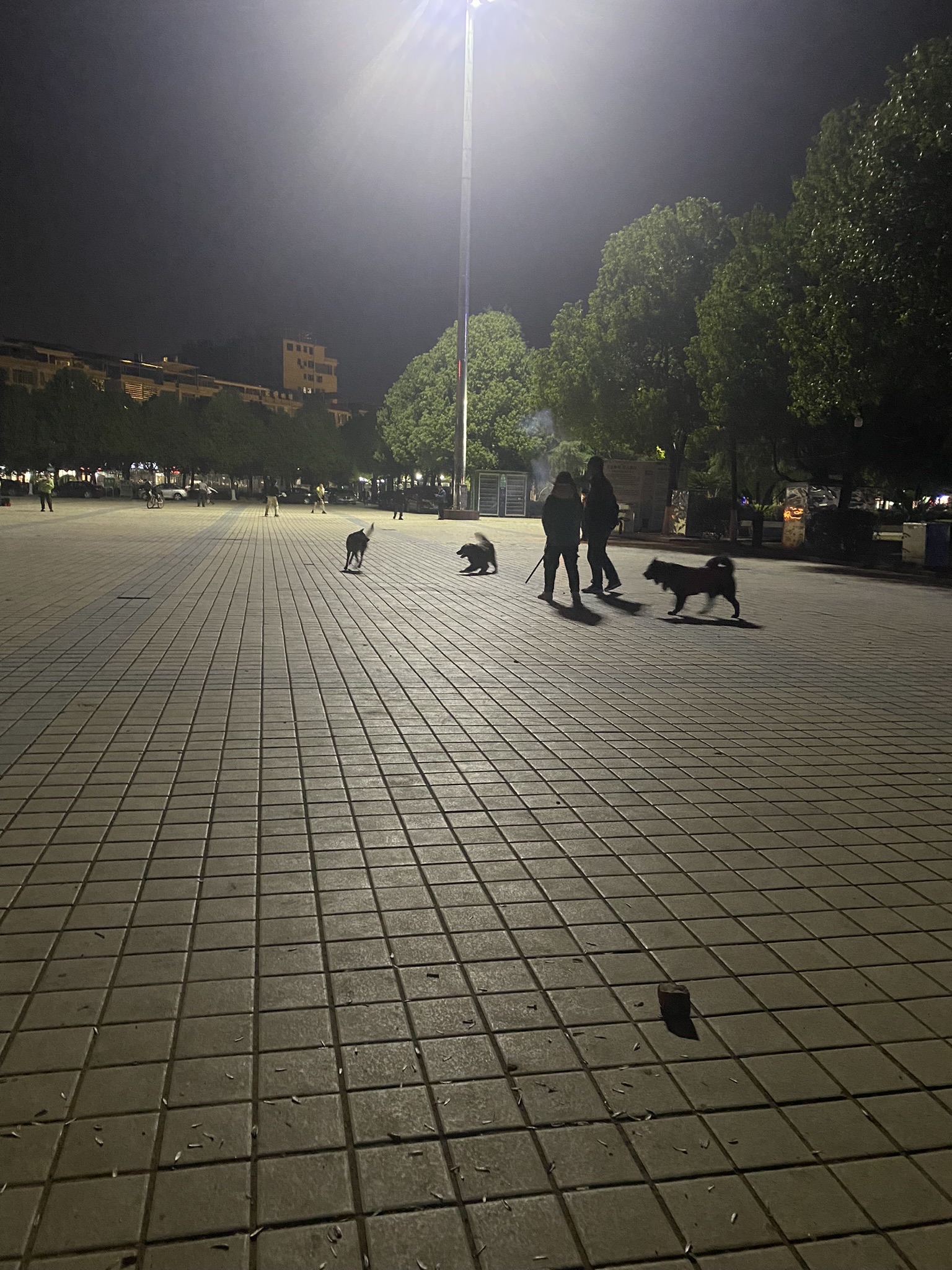 祁阳市白竹湖广场旅行图片 2