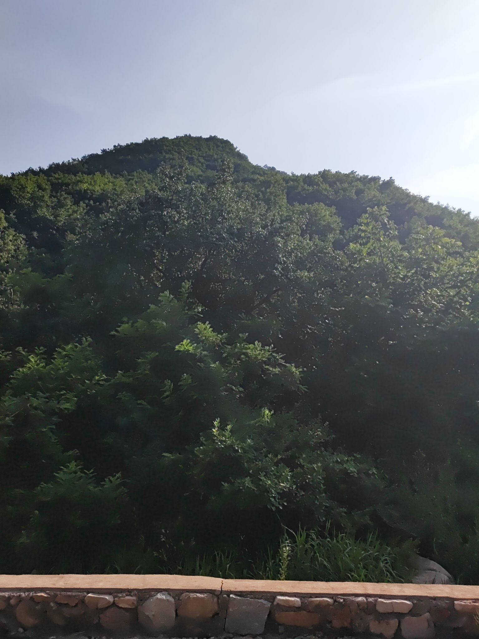 龙潭瀑布旅行图片 3