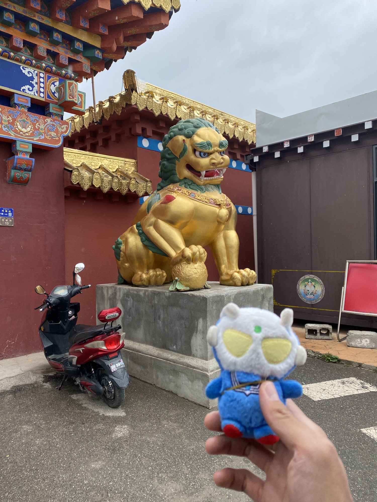 白塔公园旅行图片 2