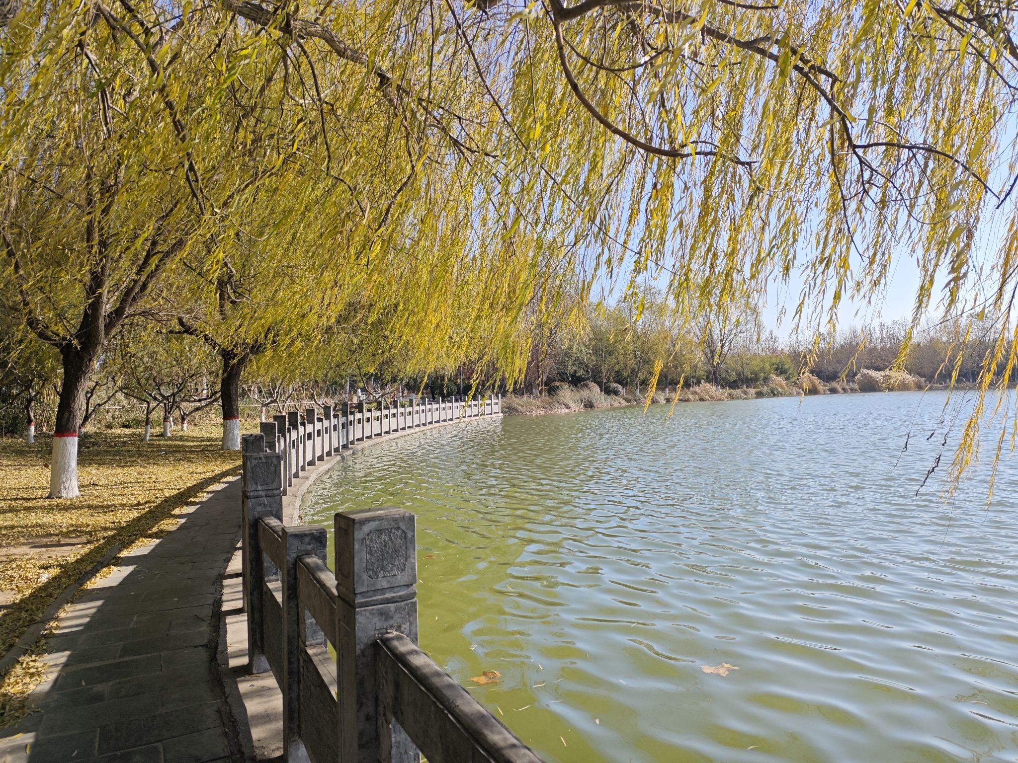幸福湖公园旅行图片 2