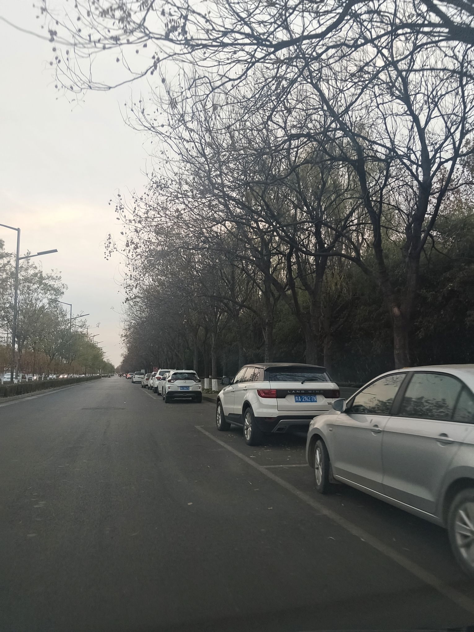 幸福湖公园旅行图片 1