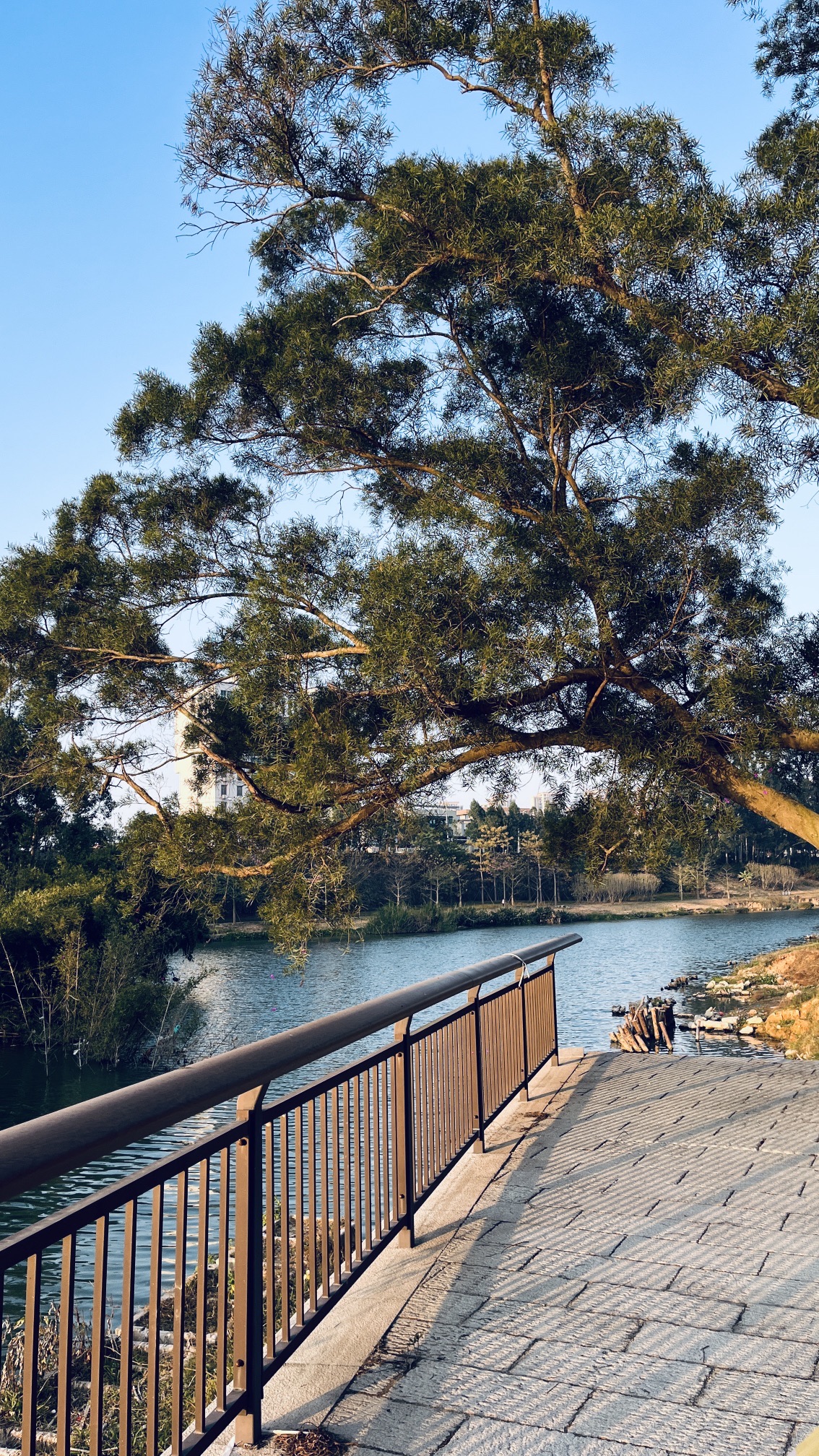 蓝溪湿地公园旅行图片 3