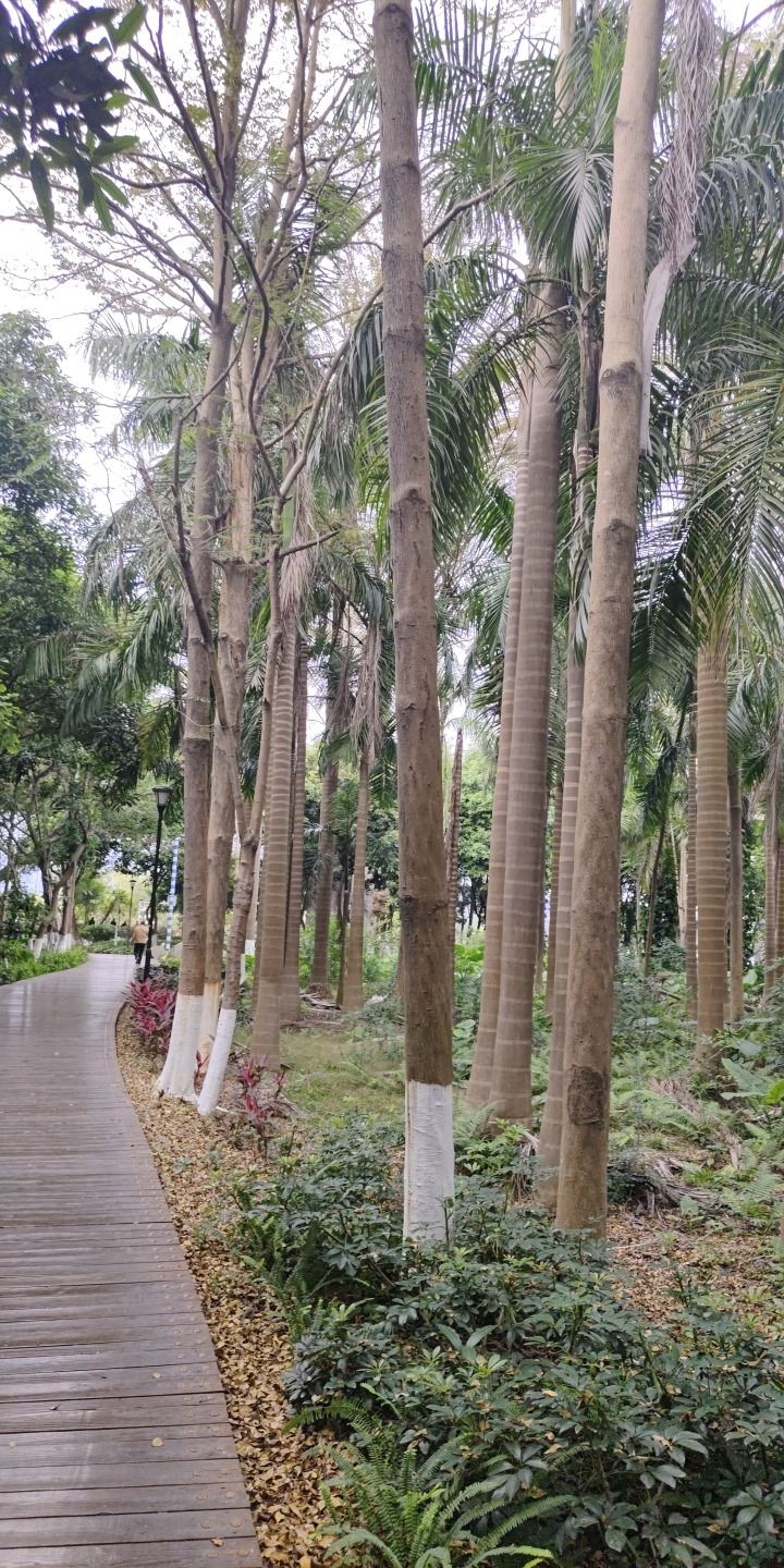 蓝溪湿地公园旅行图片 3