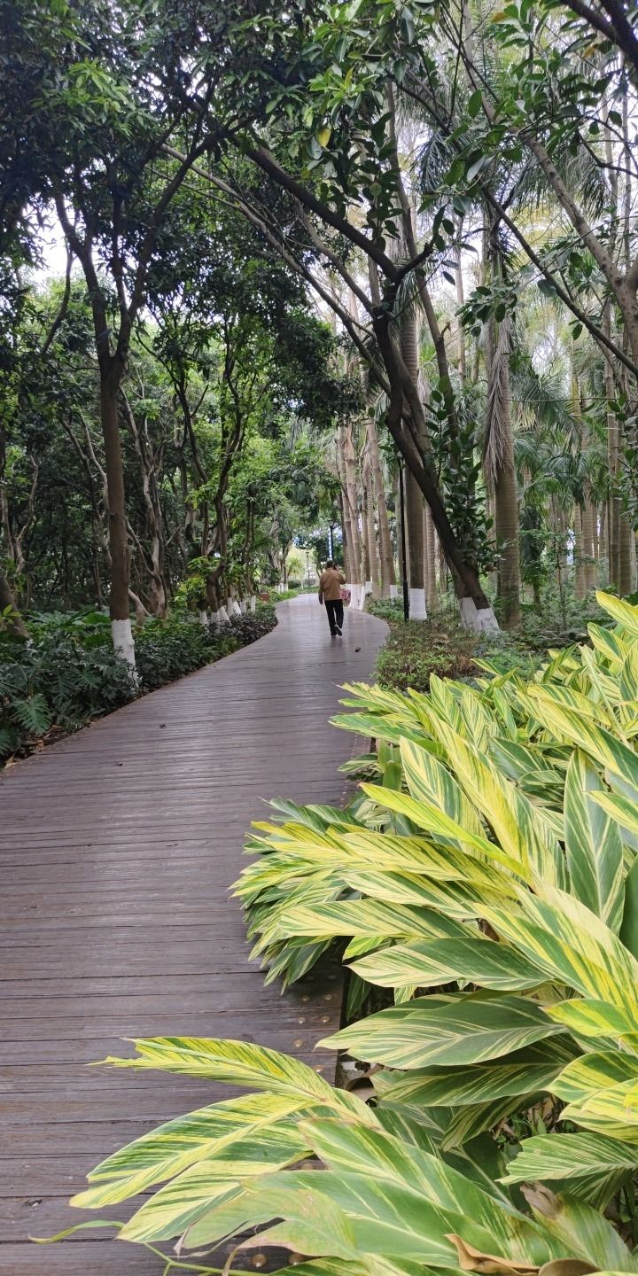 蓝溪湿地公园旅行图片 1