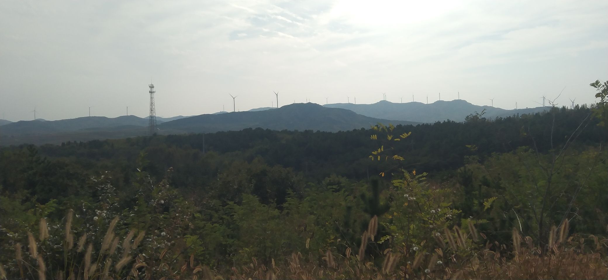 大青山省级森林公园旅行图片 2