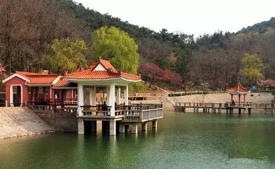 大青山省级森林公园旅行图片 1