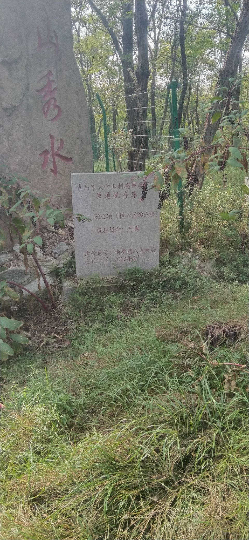 大青山省级森林公园旅行图片 3