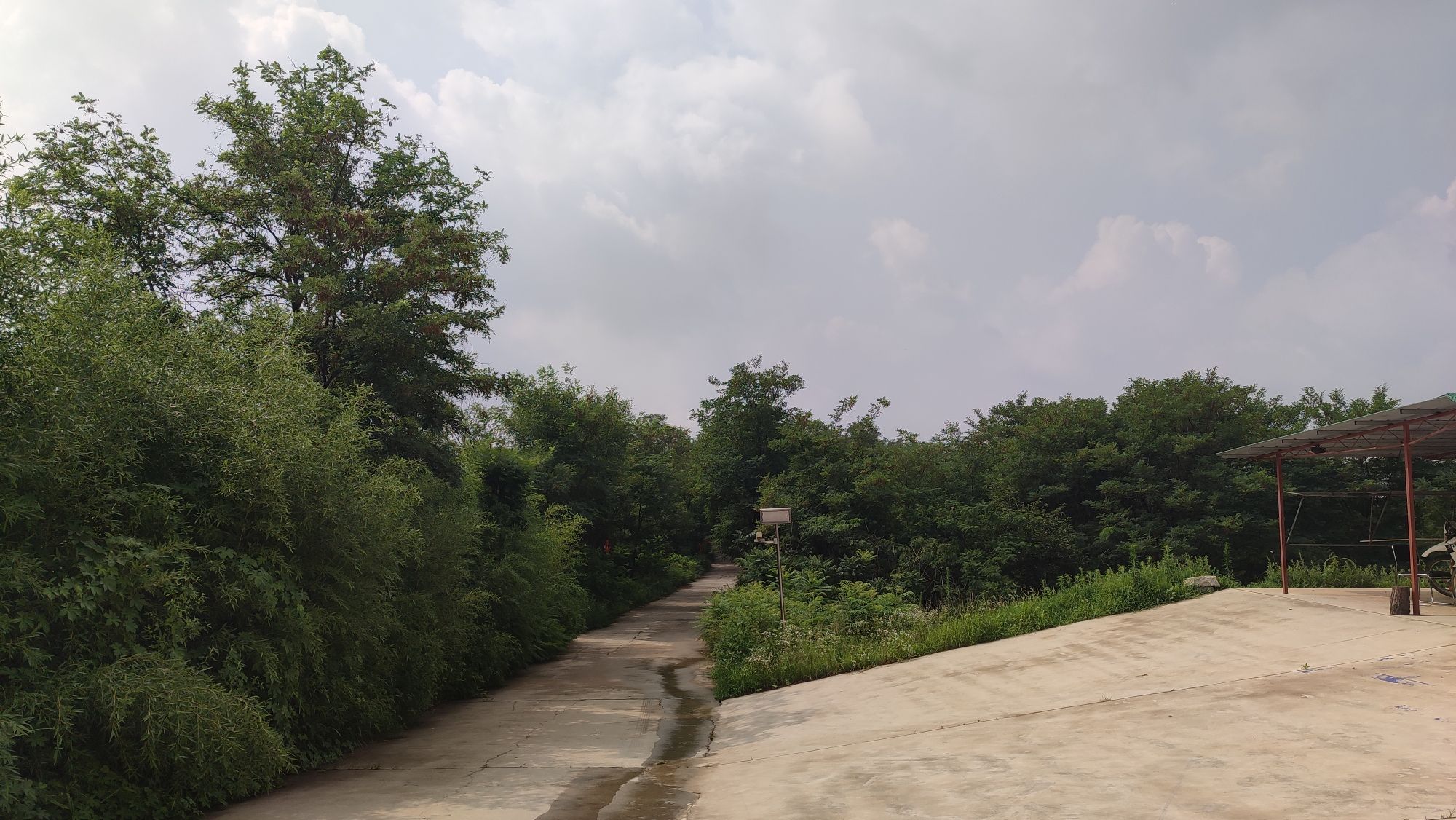 大青山省级森林公园旅行图片 3