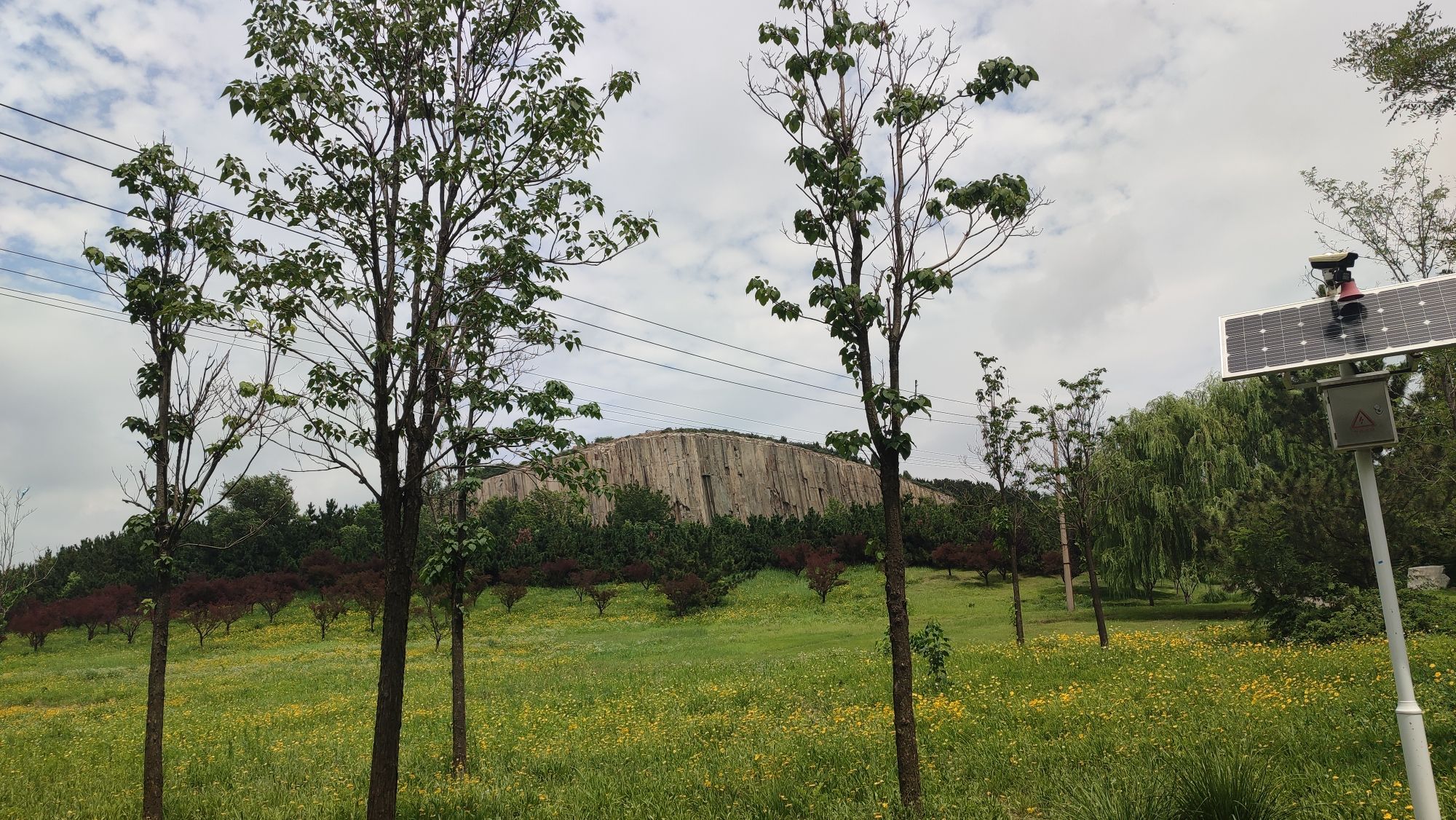 大青山省级森林公园旅行图片 1