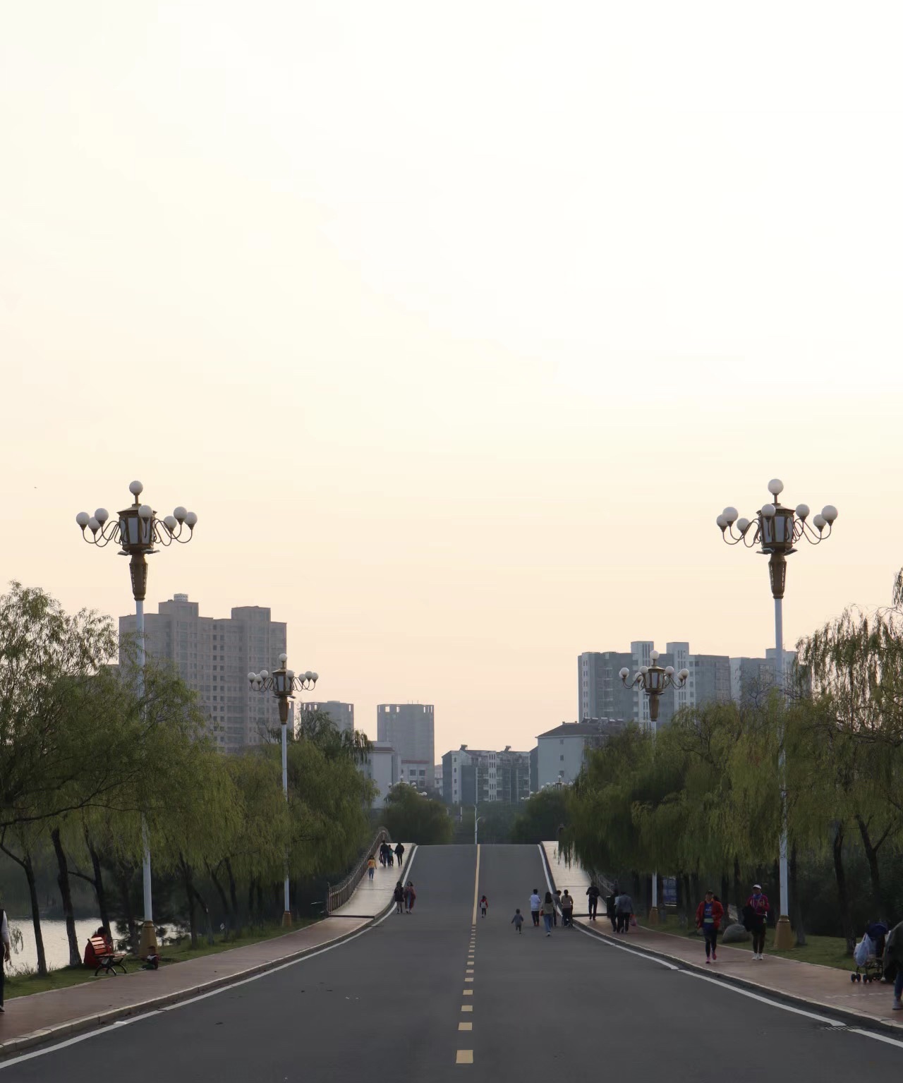 白莲湖湿地公园旅行图片 3