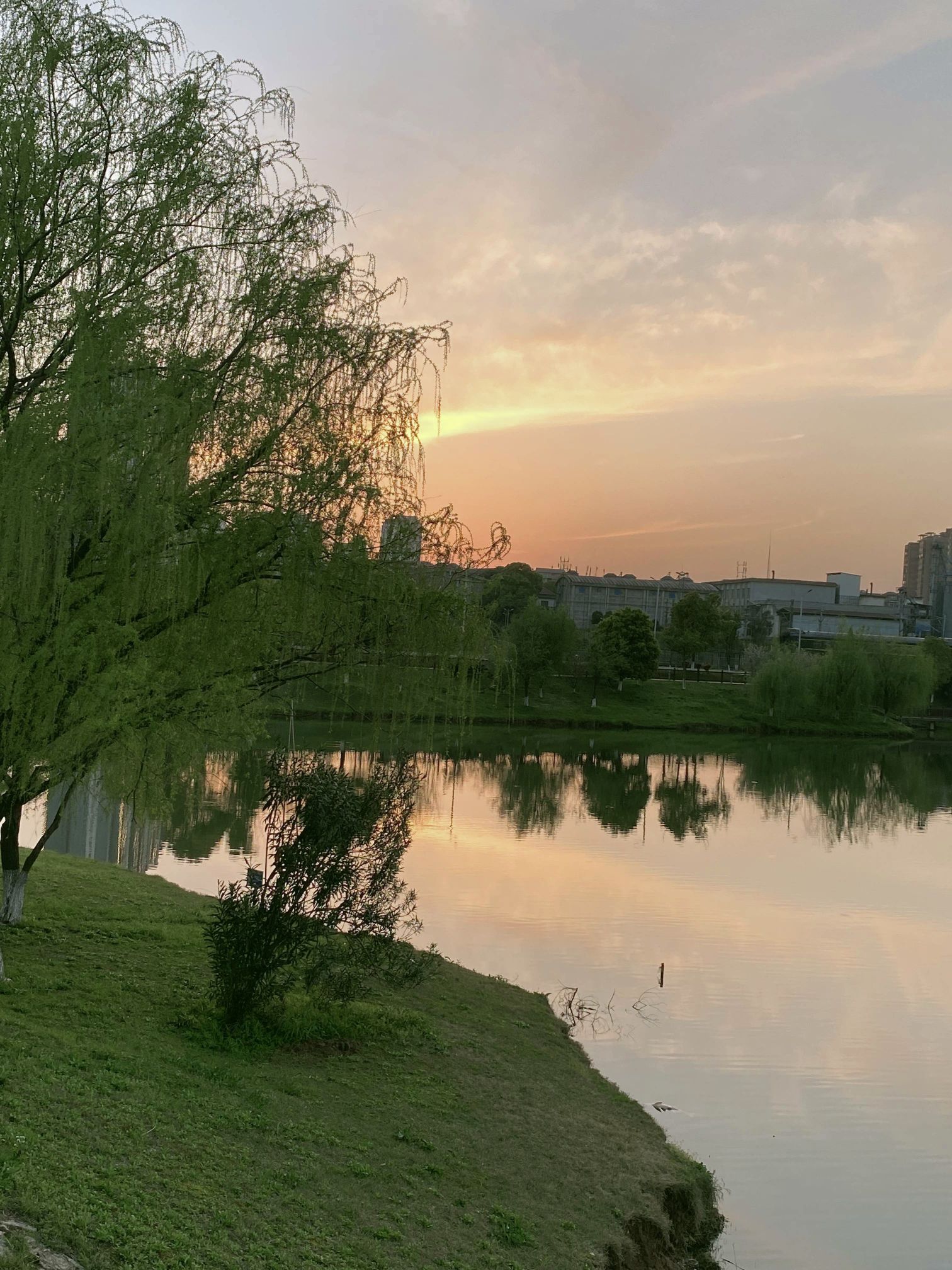 白莲湖湿地公园旅行图片 1
