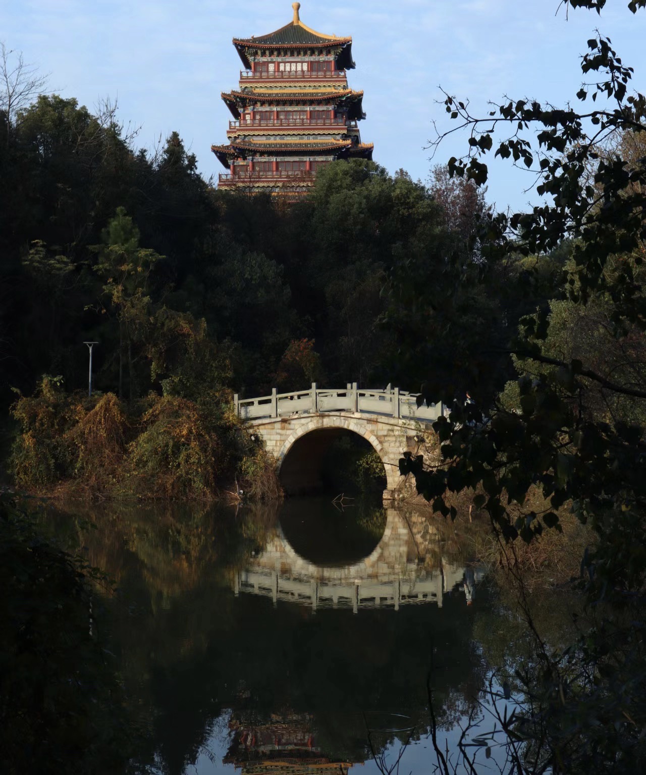 白莲湖湿地公园旅行图片 1