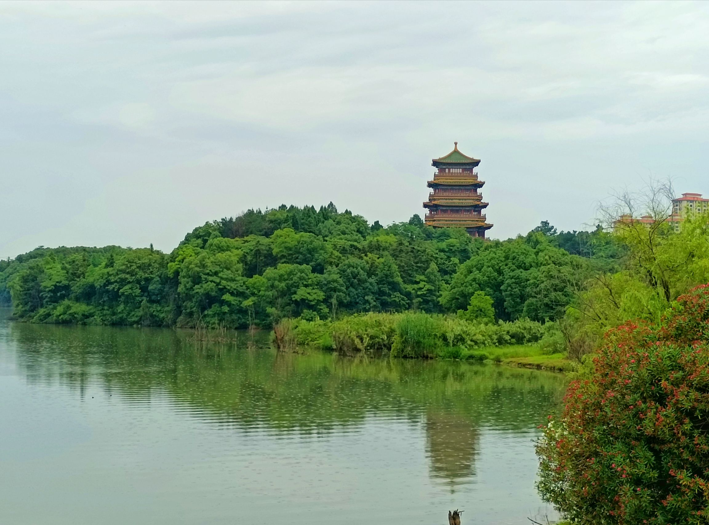 白莲湖湿地公园旅行图片 2