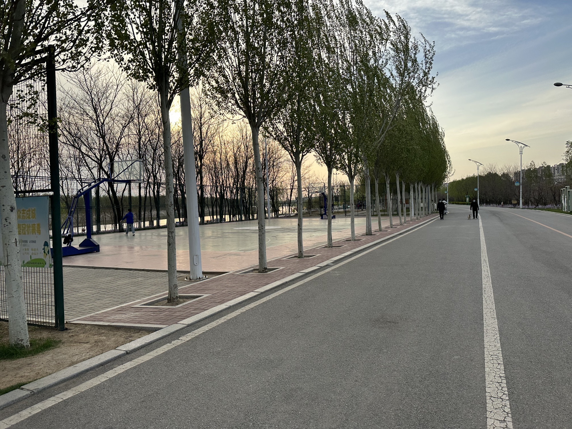 花溪地公园旅行图片 2