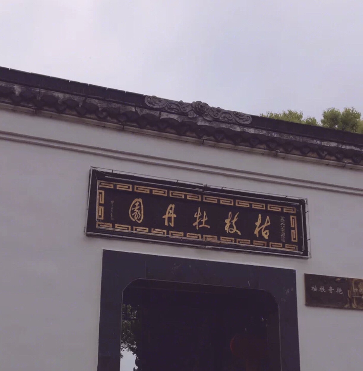 便仓枯枝牡丹园碑旅行图片