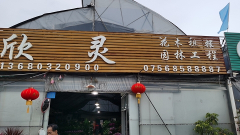 珠海市欣灵园艺(格馨花卉世界店)