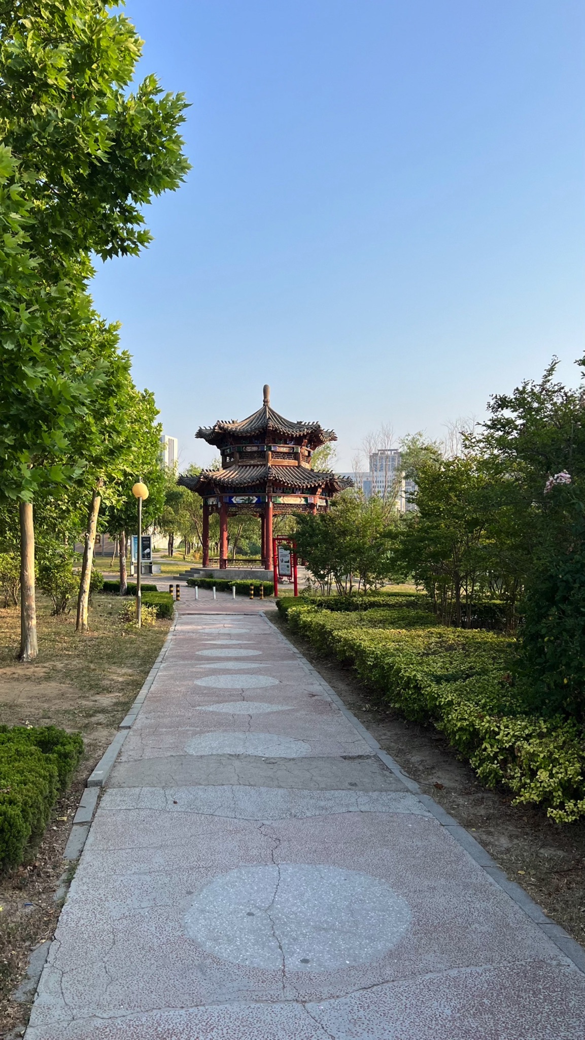 曹县人民公园旅行图片 3
