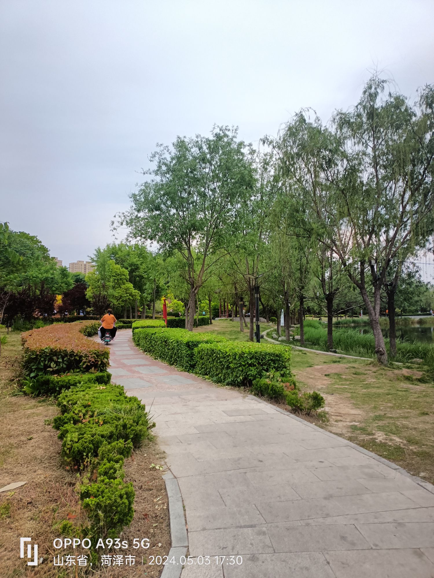 曹县人民公园旅行图片 2