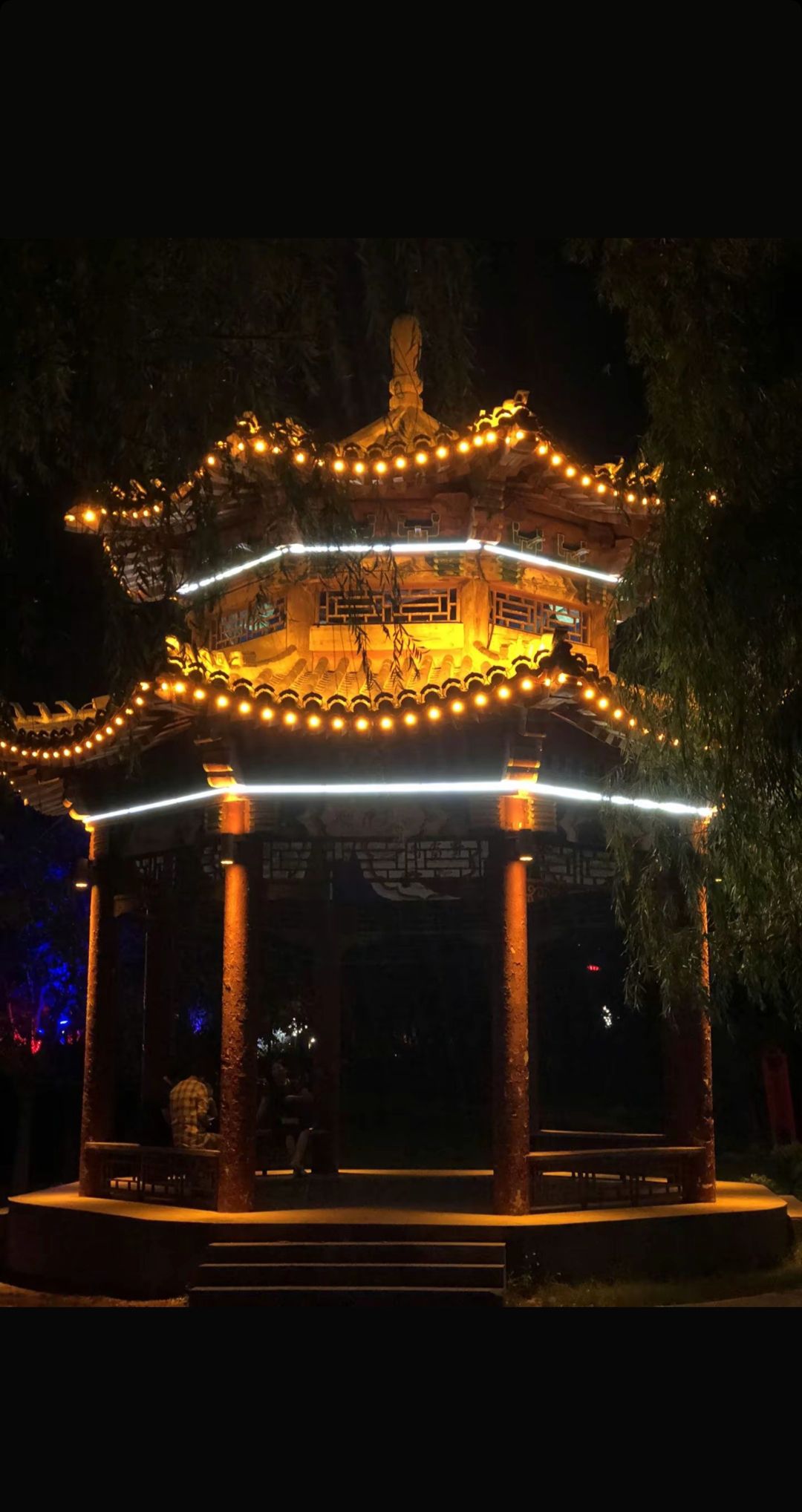 曹县人民公园旅行图片 1