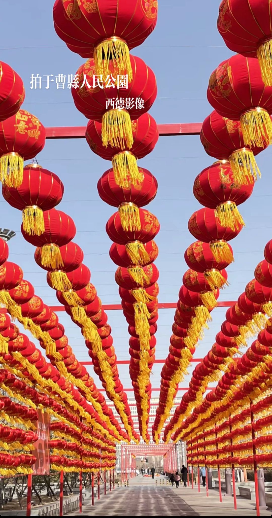 曹县人民公园旅行图片 3