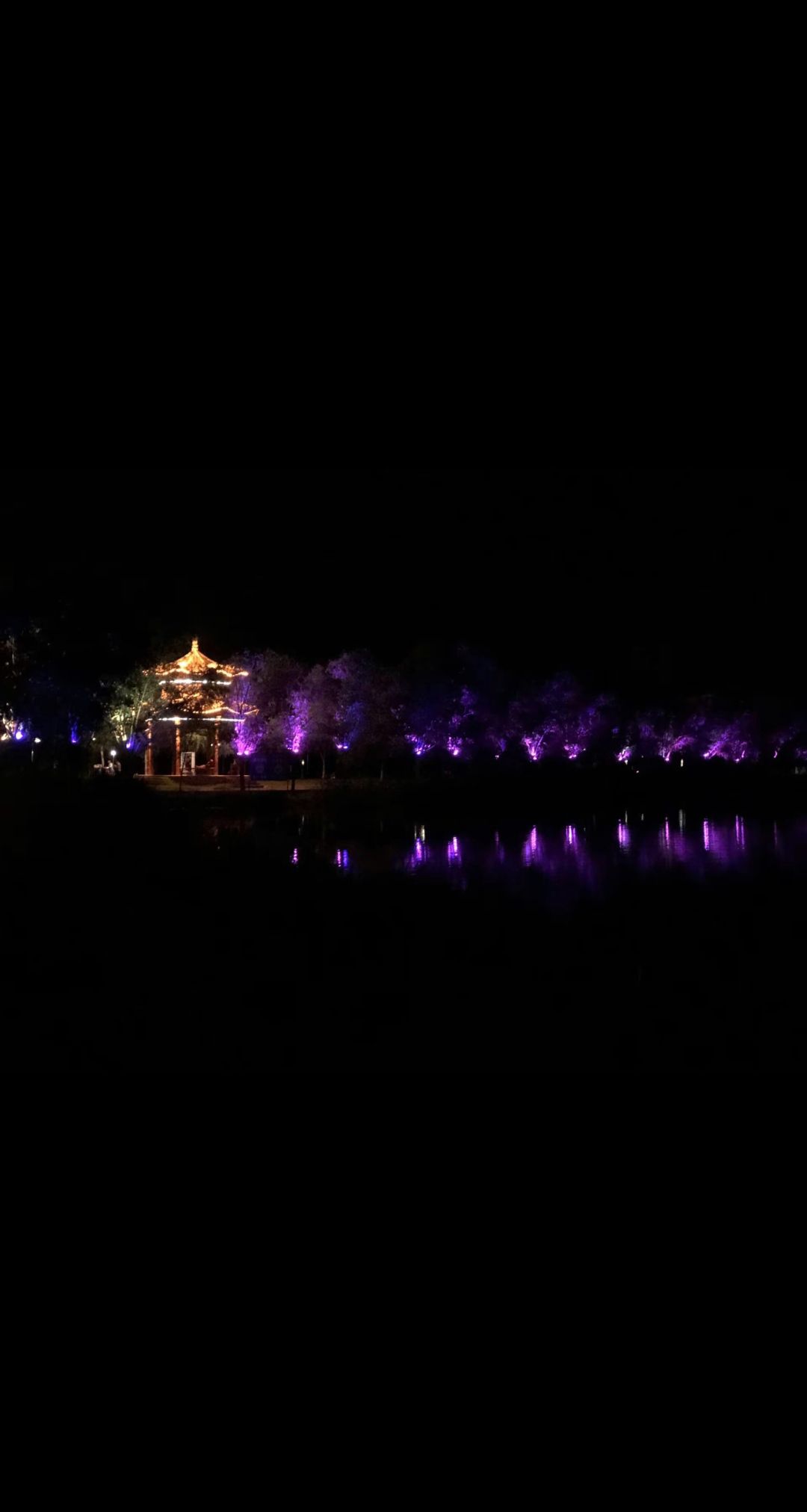 曹县人民公园旅行图片 2