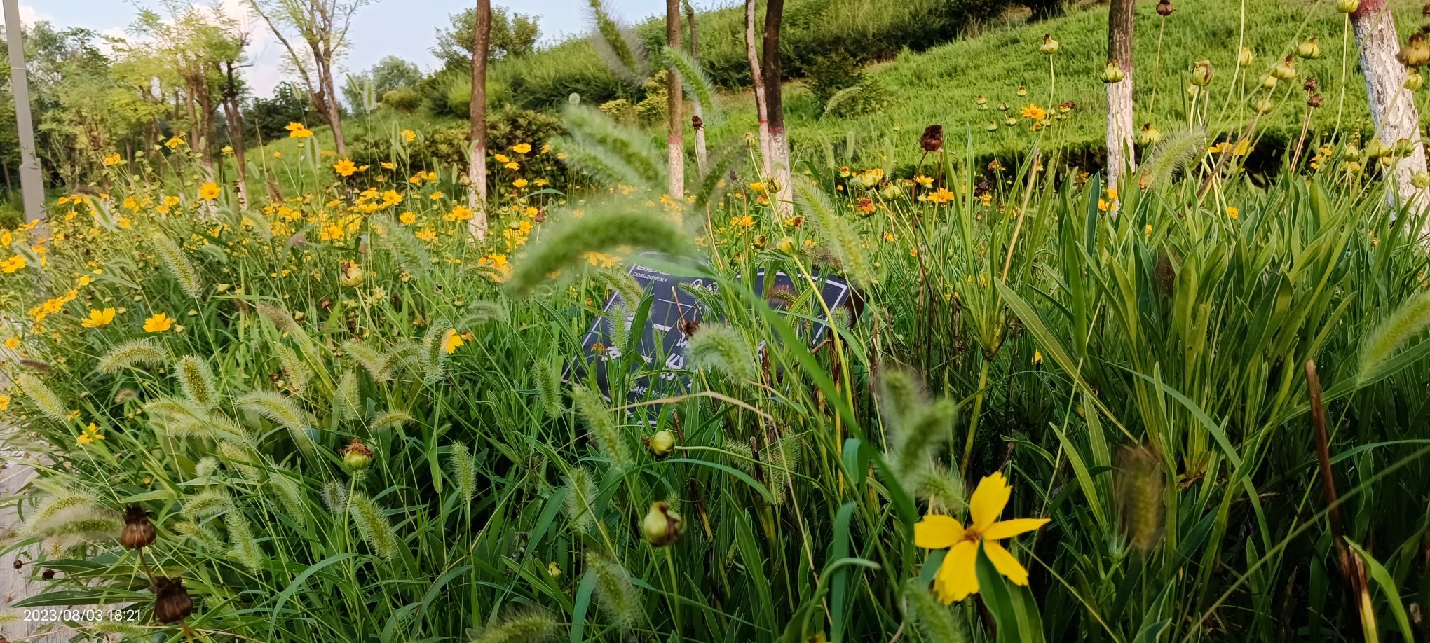 钢城大汶河国家湿地公园旅行图片 3