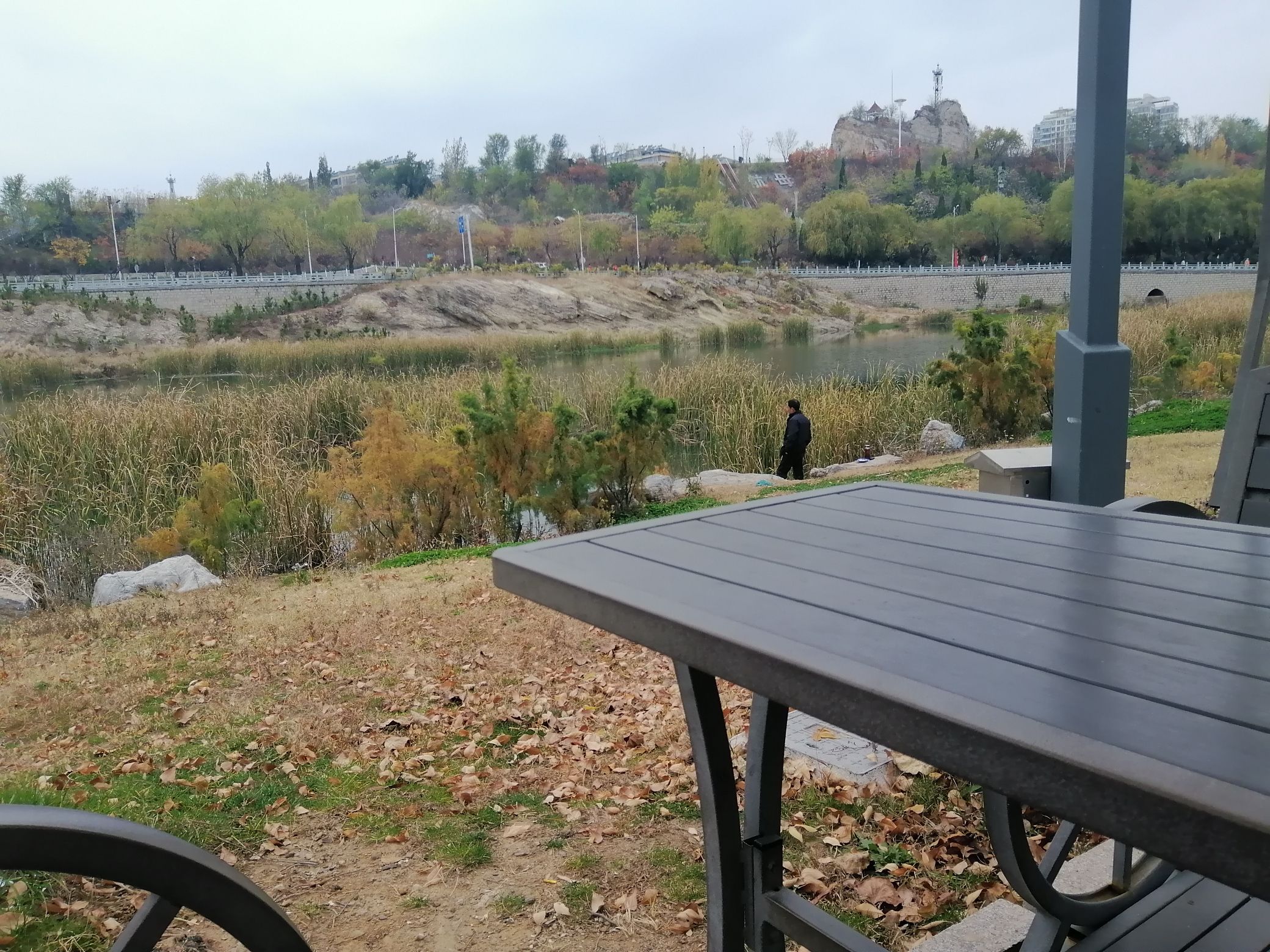 钢城大汶河国家湿地公园旅行图片 1