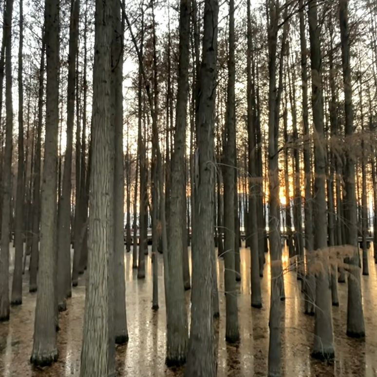 北湖公园旅行图片 2