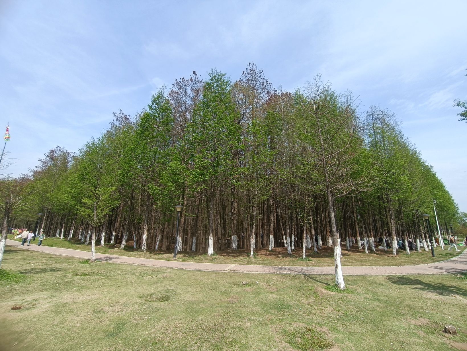 北湖公园旅行图片 2