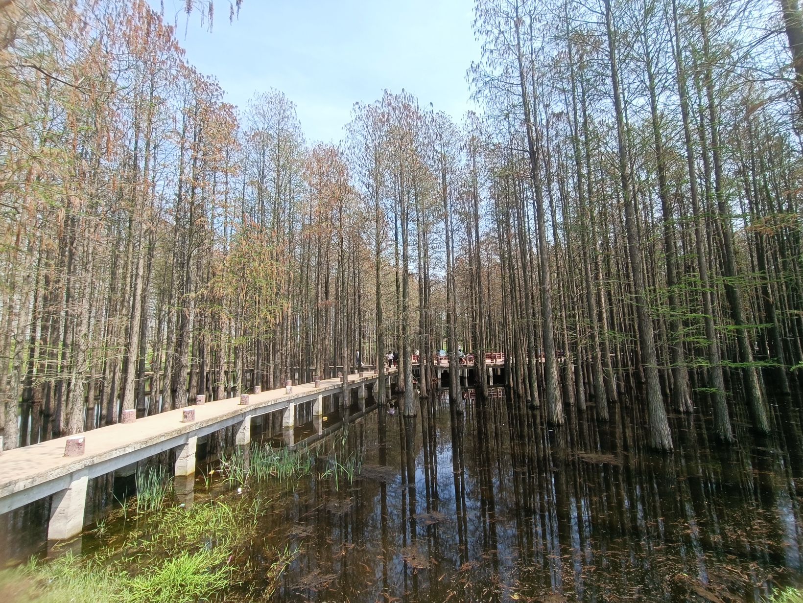 北湖公园旅行图片 3