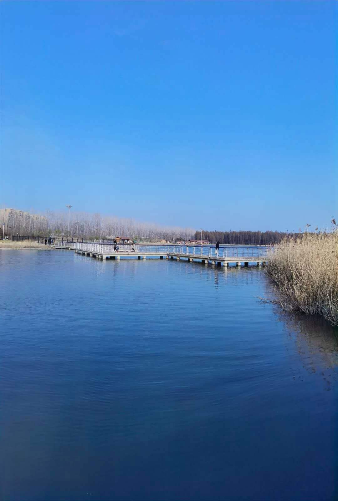 北湖公园旅行图片 2
