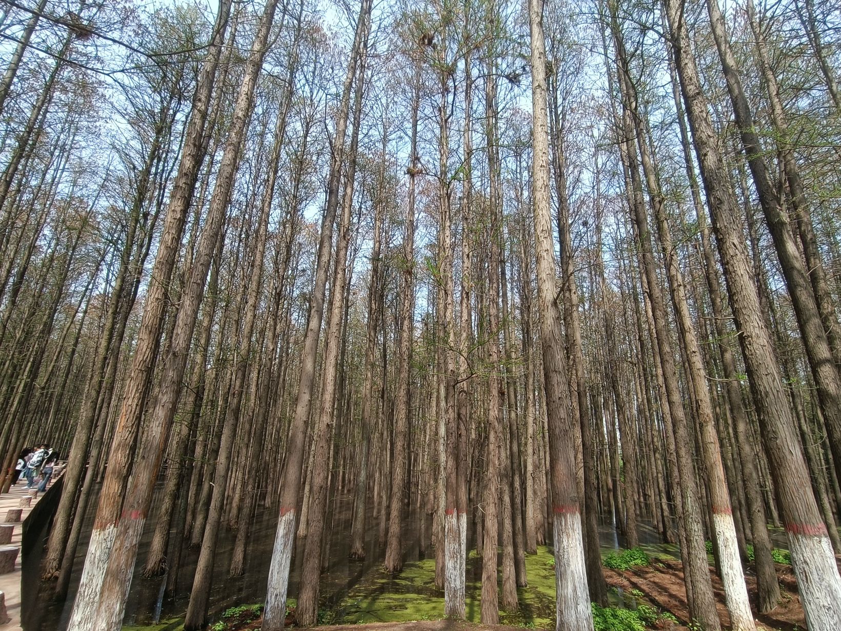 北湖公园旅行图片 1