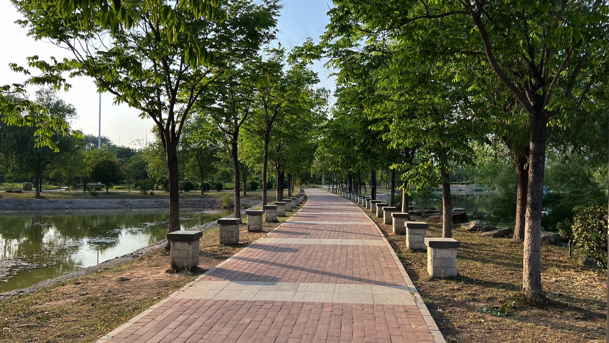 环岛公园旅行图片 2