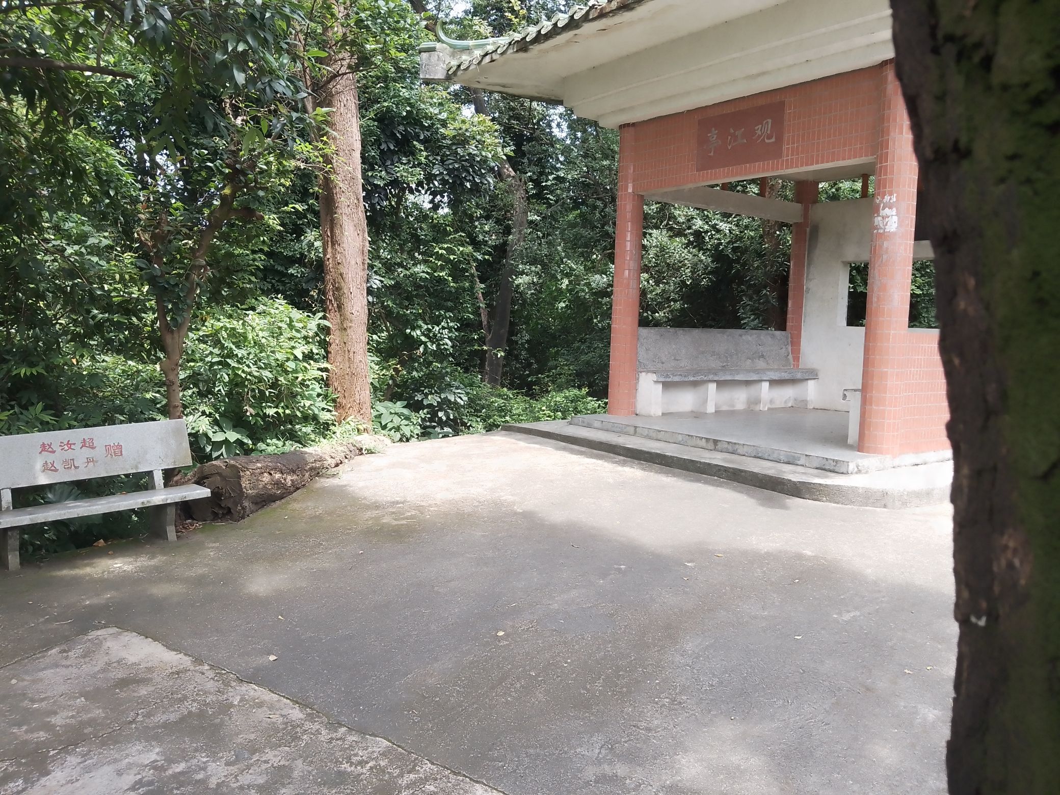 思仁森林公园旅行图片 3