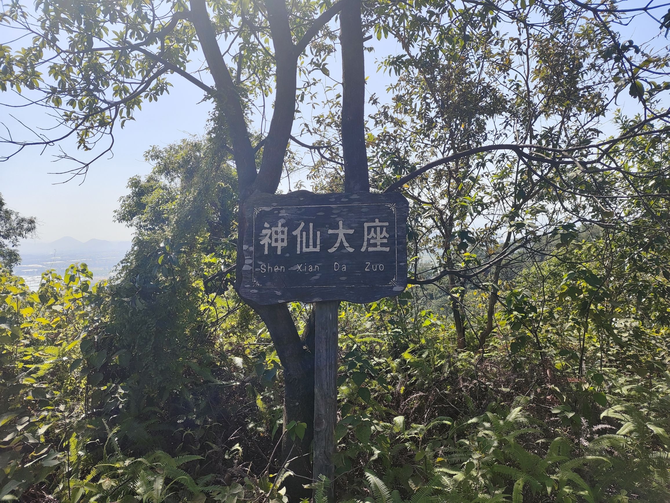 思仁森林公园旅行图片 1