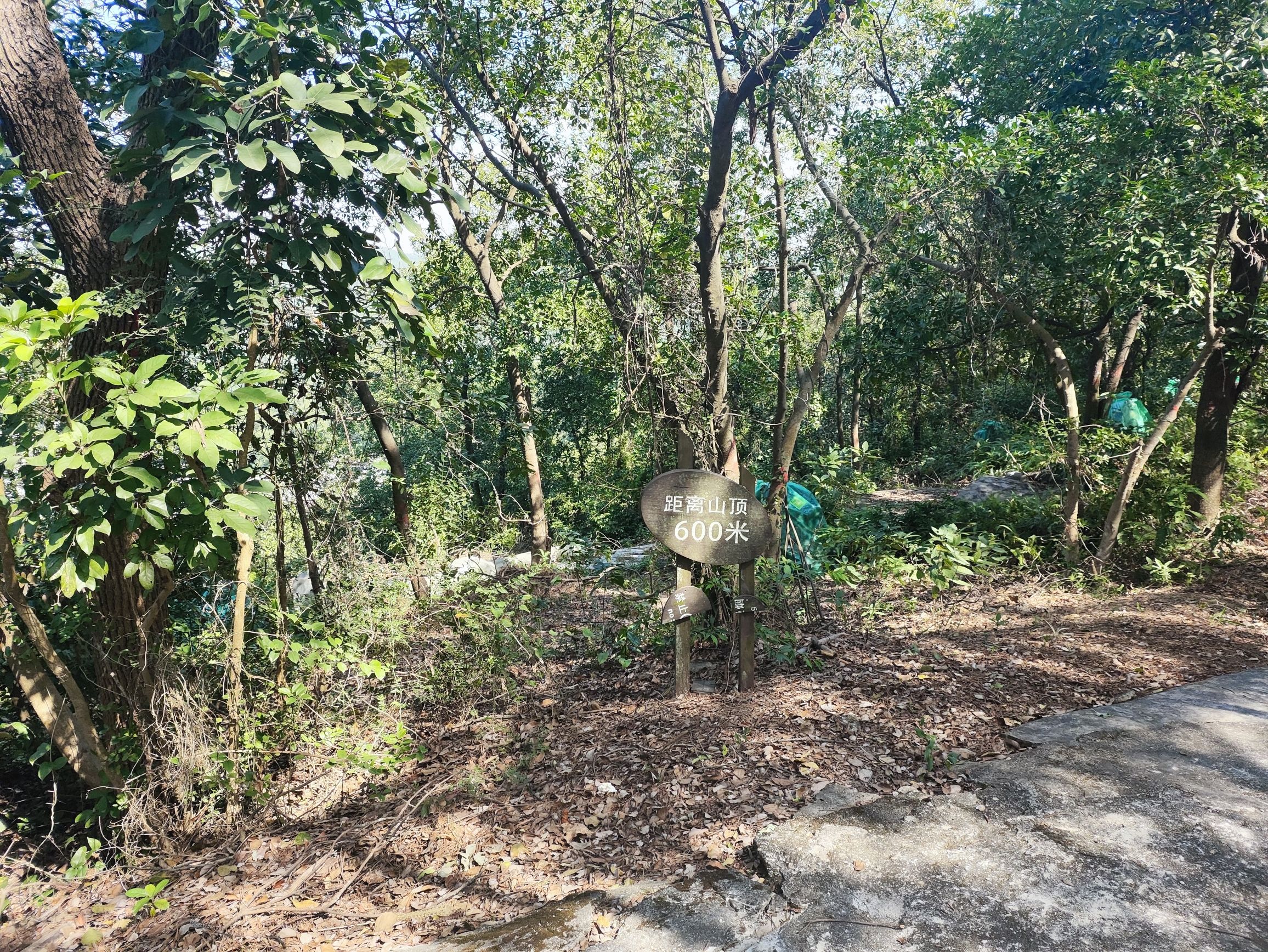 思仁森林公园旅行图片 2