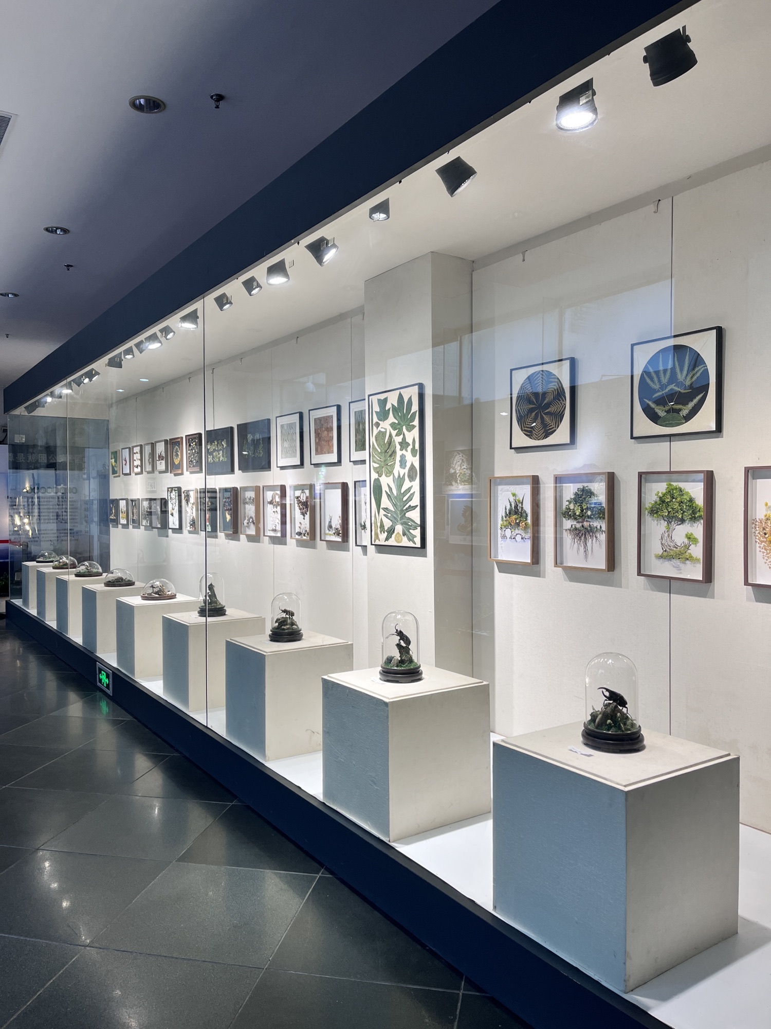 中国畲族博物馆