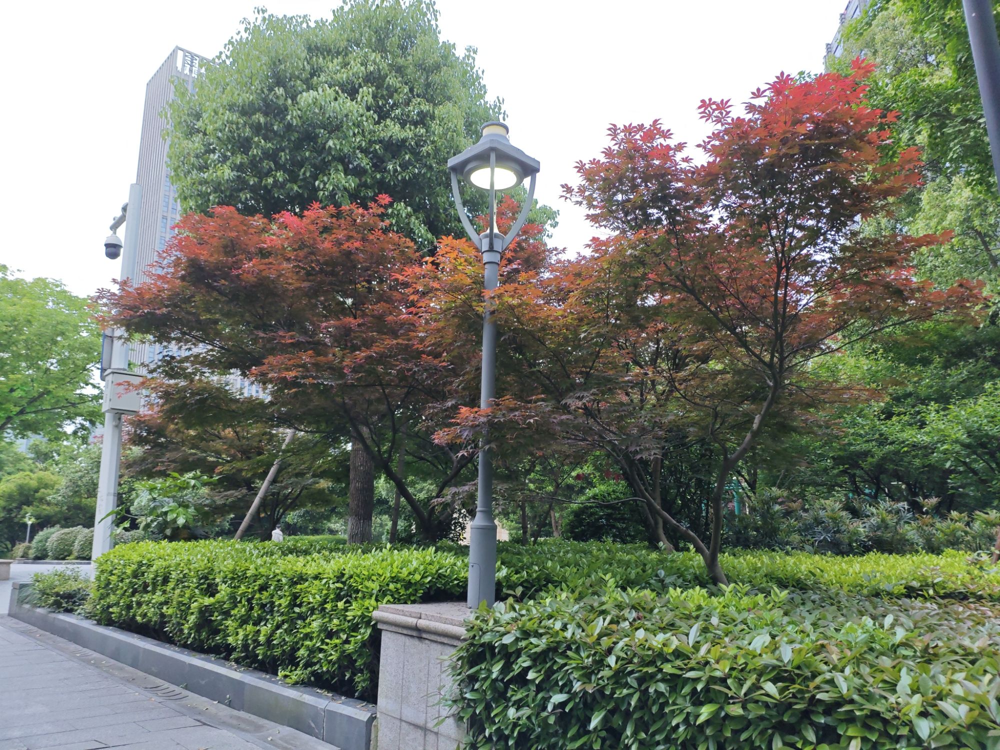 星海公园旅行图片 3