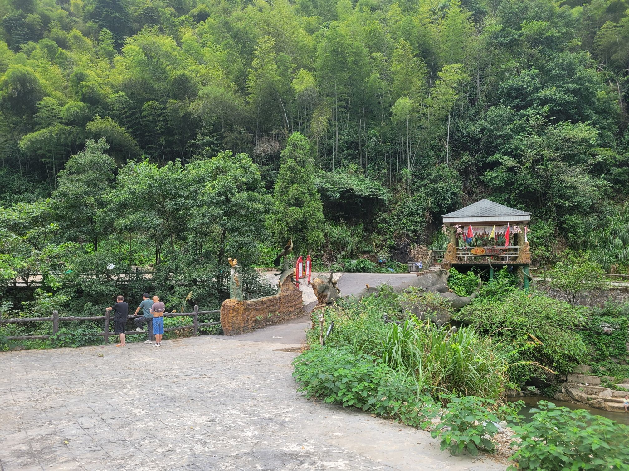 龙山大峡谷旅行图片 1