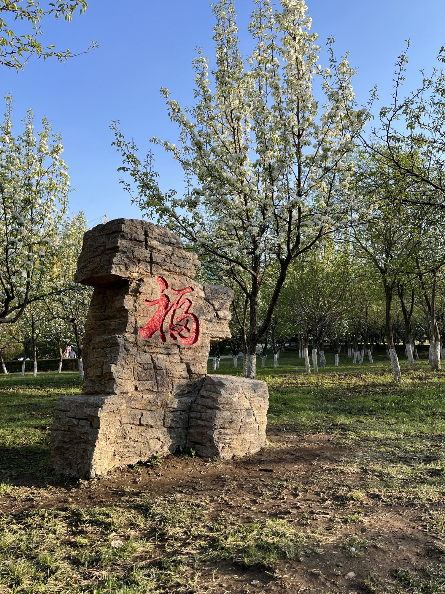 梨花园旅行图片 2