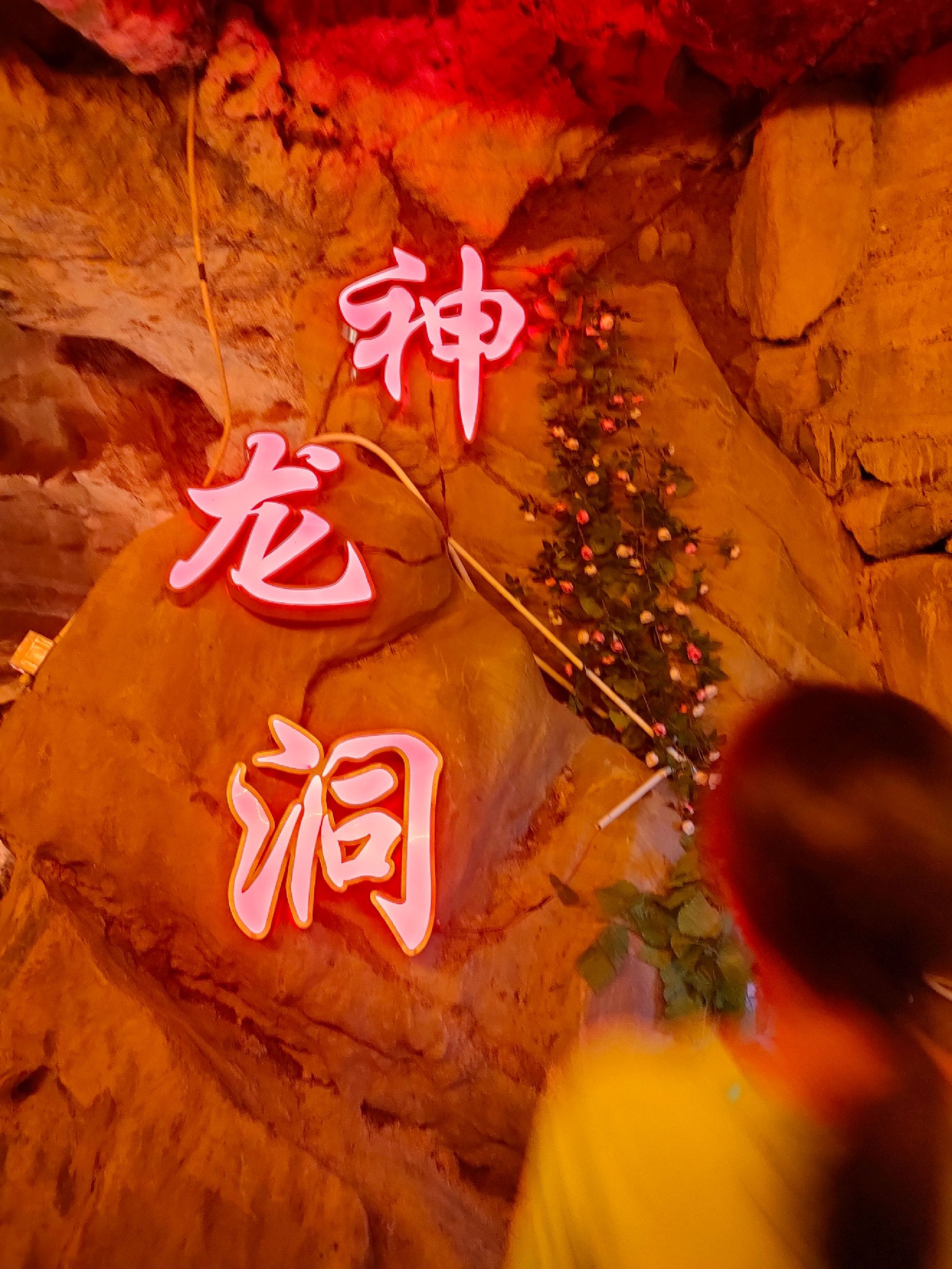神龙洞旅行图片 1
