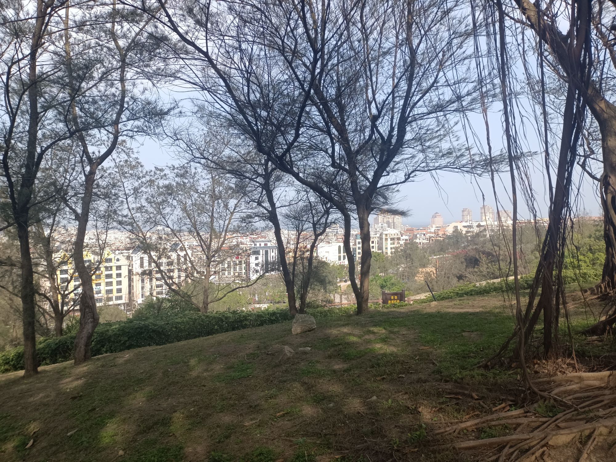 万宝公园旅行图片 2