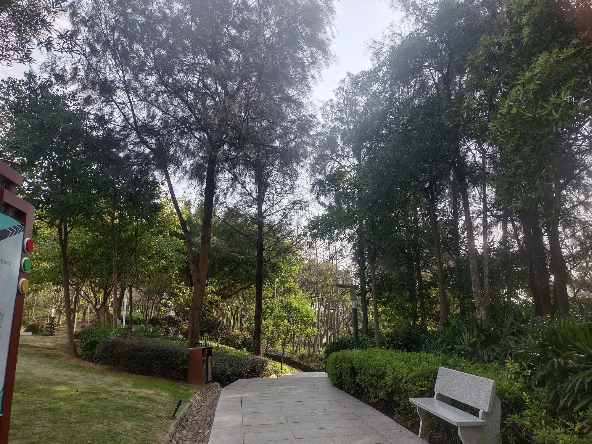 万宝公园旅行图片 3