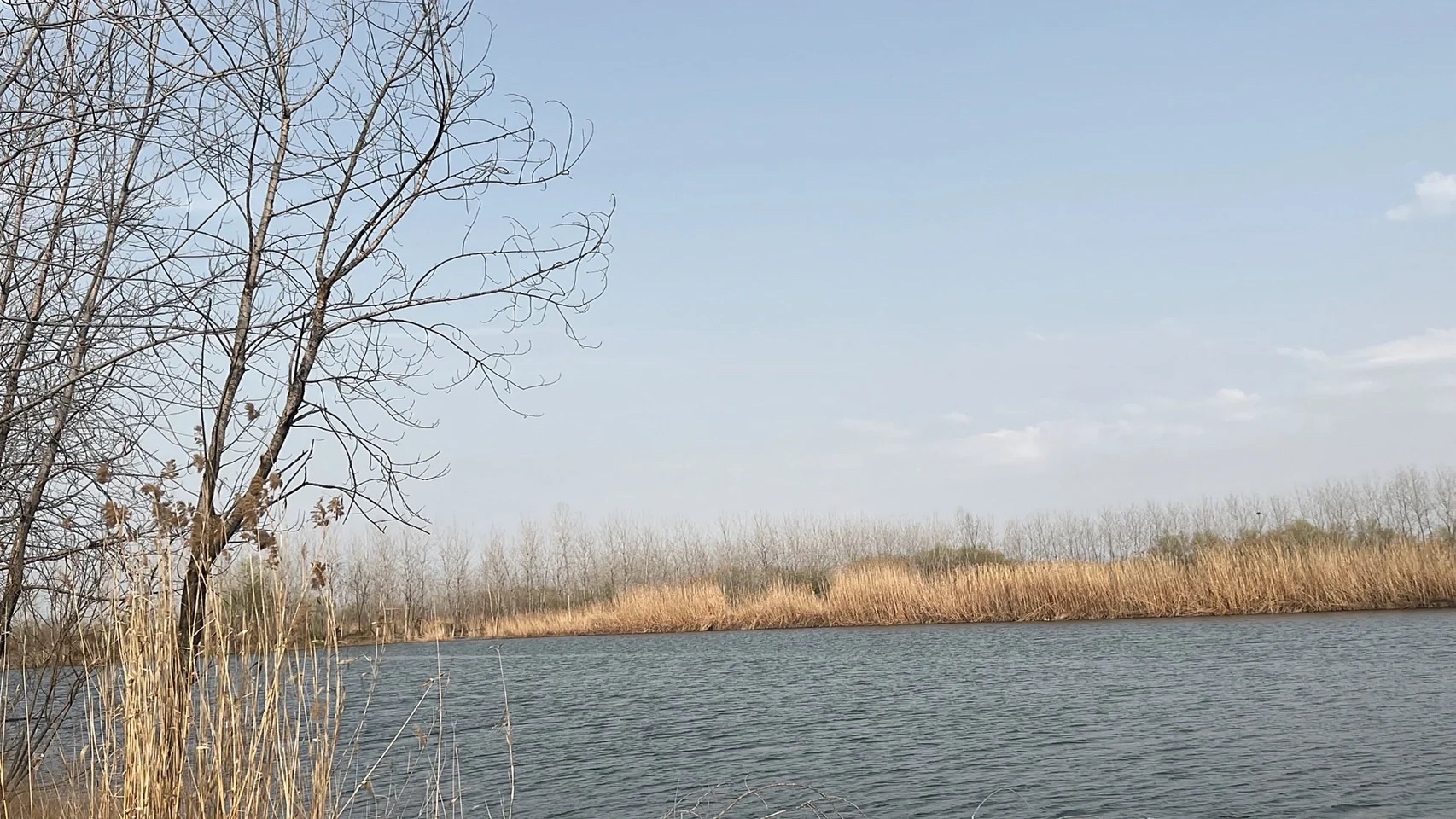 绿水湾湿地公园旅行图片 2